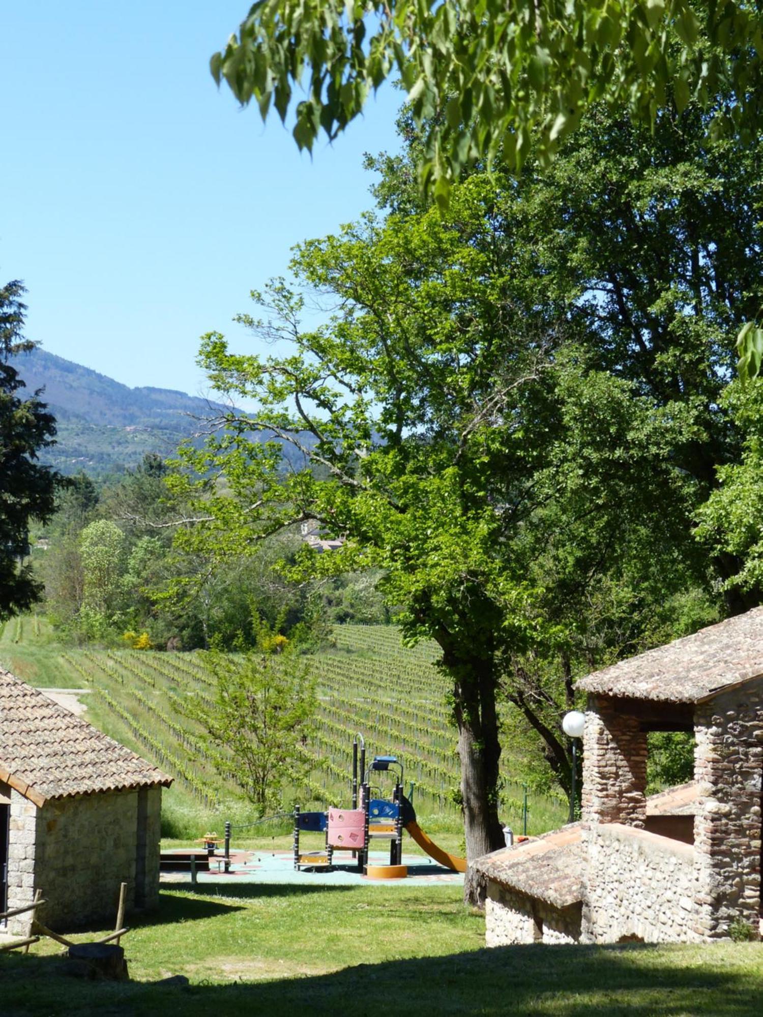 Terres De France - Le Domaine Des Vans Chambonas Exterior photo